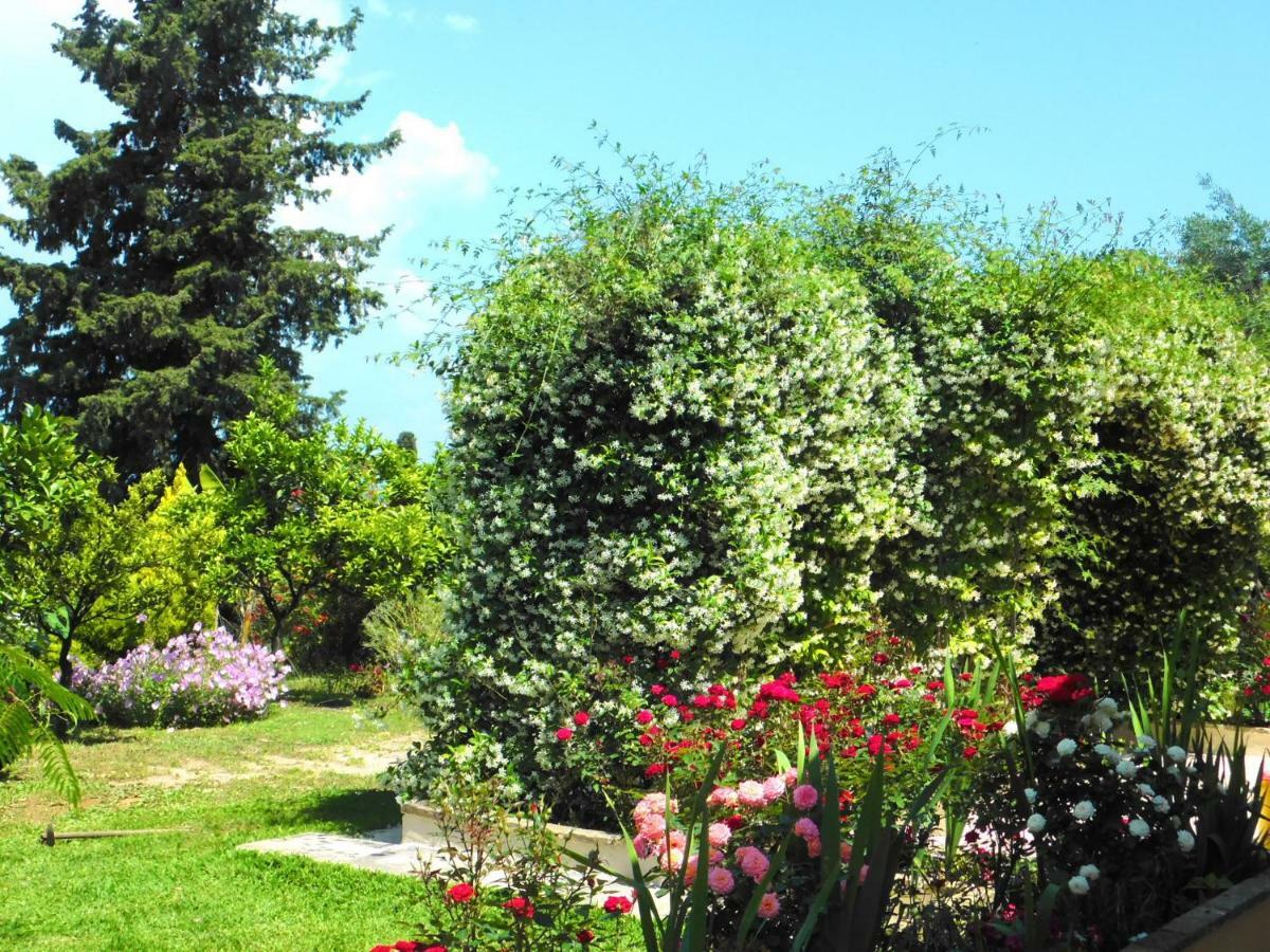 Olga'S Hill Villa Перама Екстериор снимка